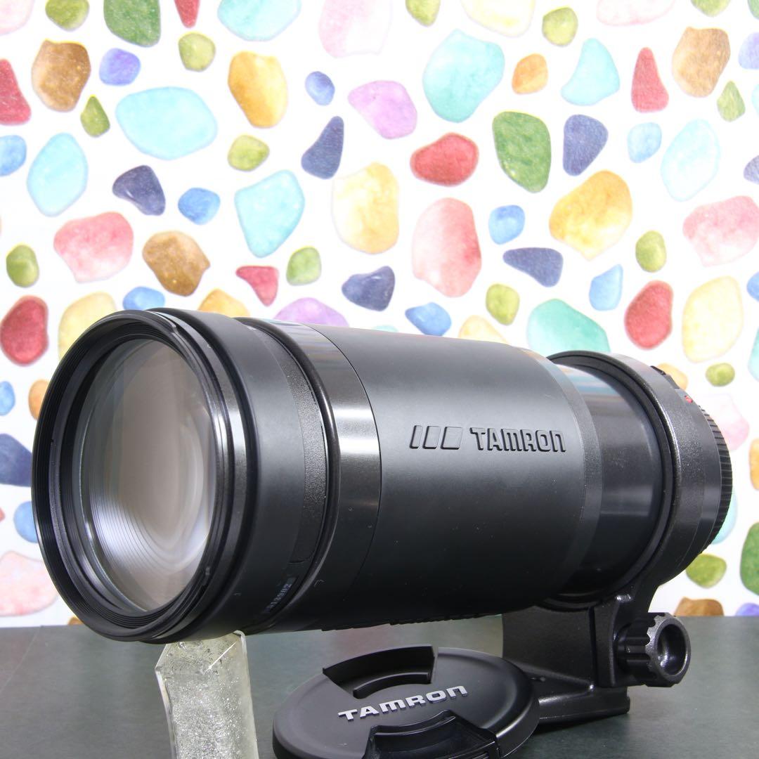 ♥︎◇高性能望遠レンズ♪ ◇TAMRON 200-400ｍｍ canon ◇美品