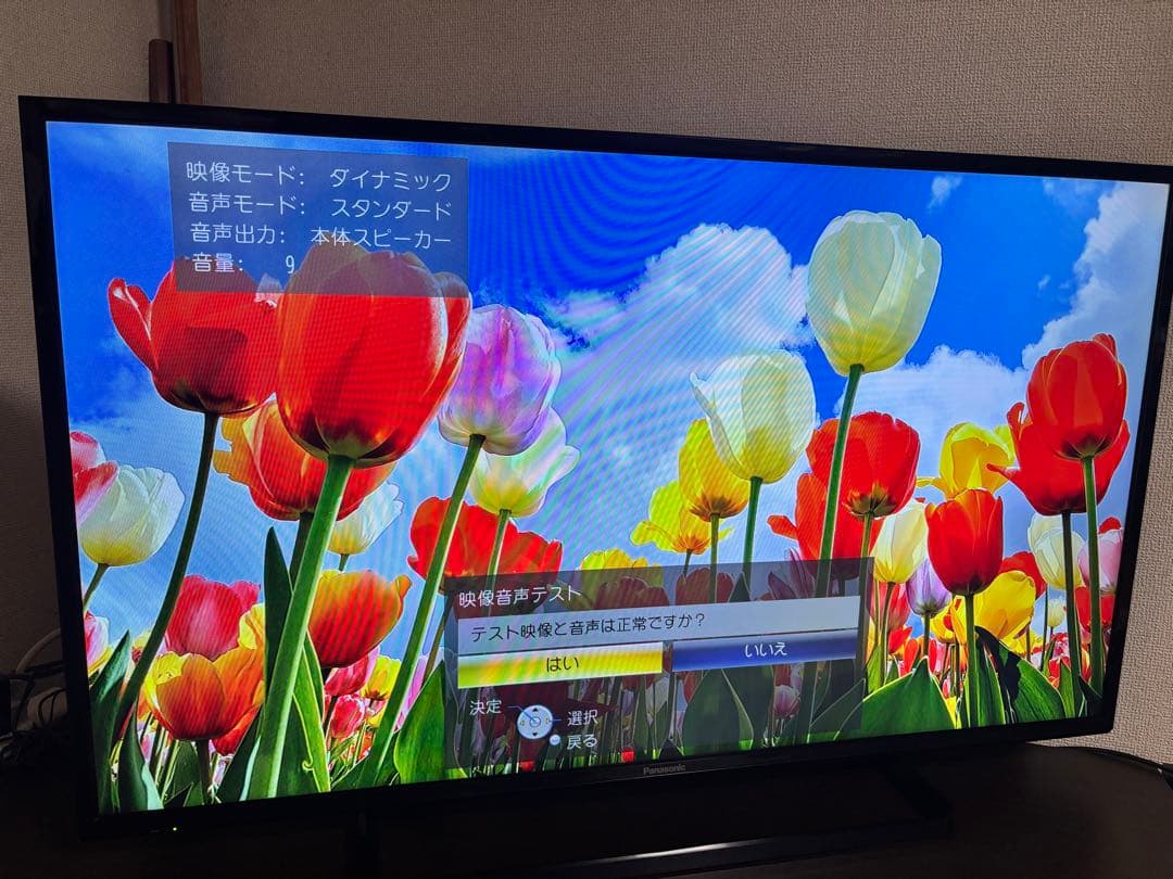 Panasonic TH-43F300 43インチ液晶テレビ