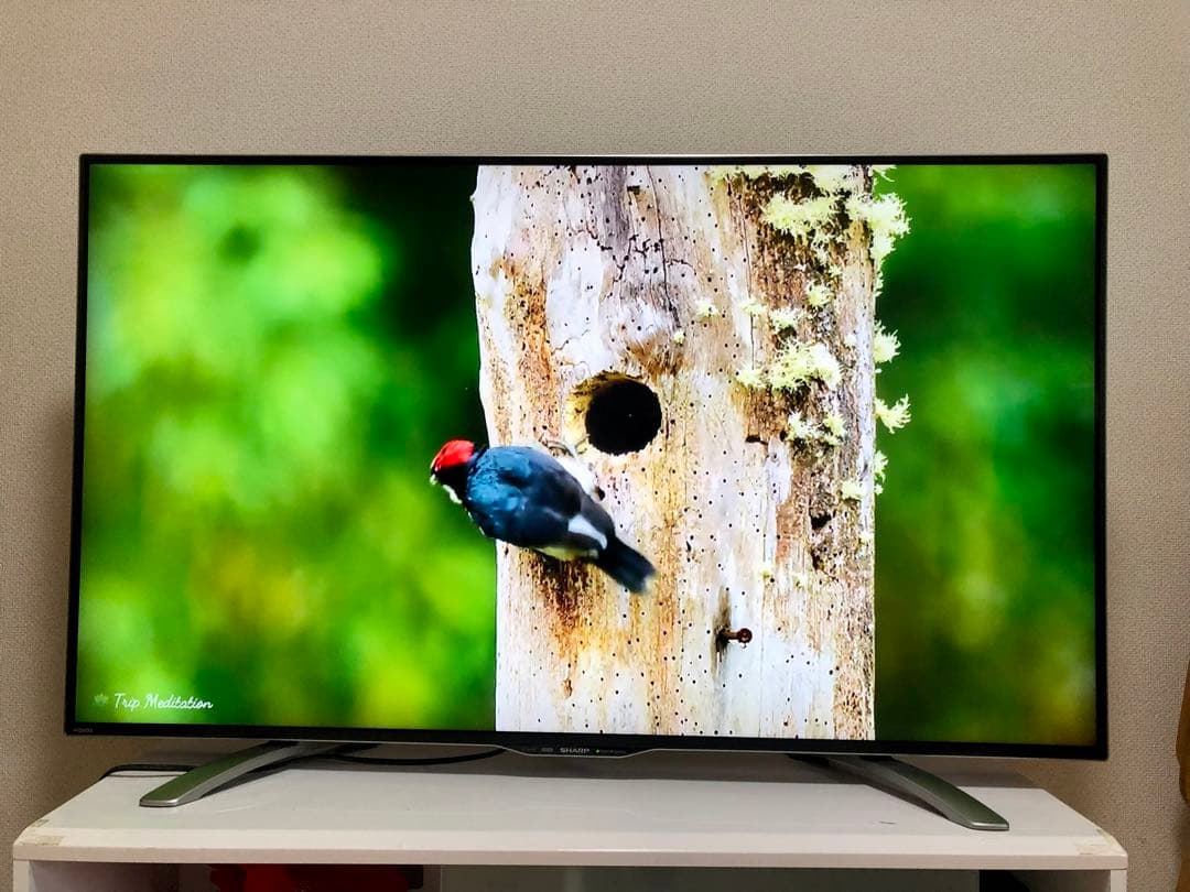 美品 SHARP 50インチ 4K 液晶テレビ LC-50U30 50型