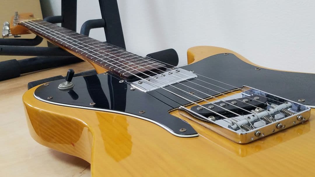 Brian by Bacchus テレキャスターカスタムタイプ エレキギター