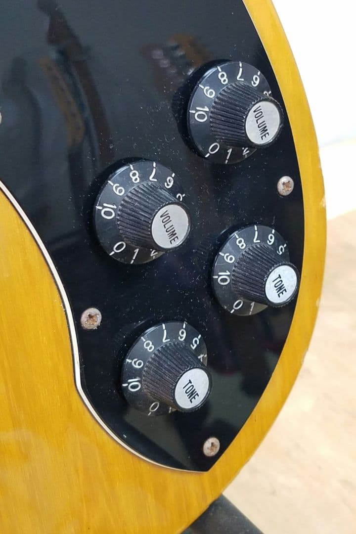 Brian by Bacchus テレキャスターカスタムタイプ エレキギター