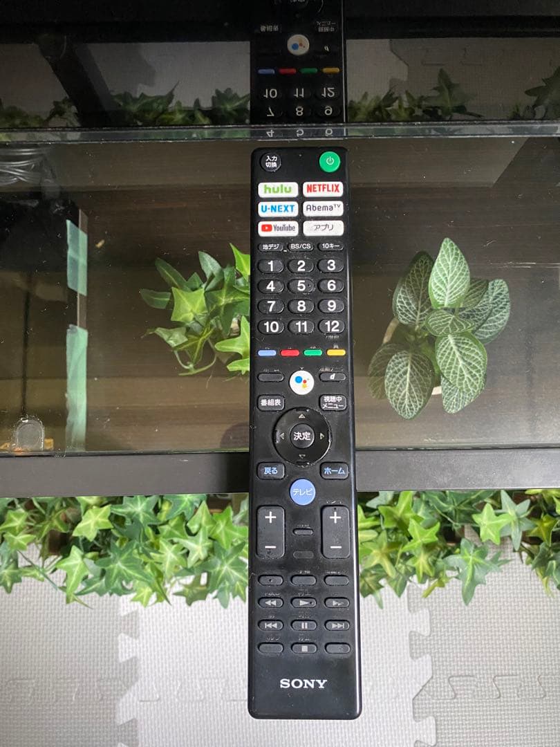 (3/10まで) 55インチ　SONY BRAVIA 有機ELテレビ　4K