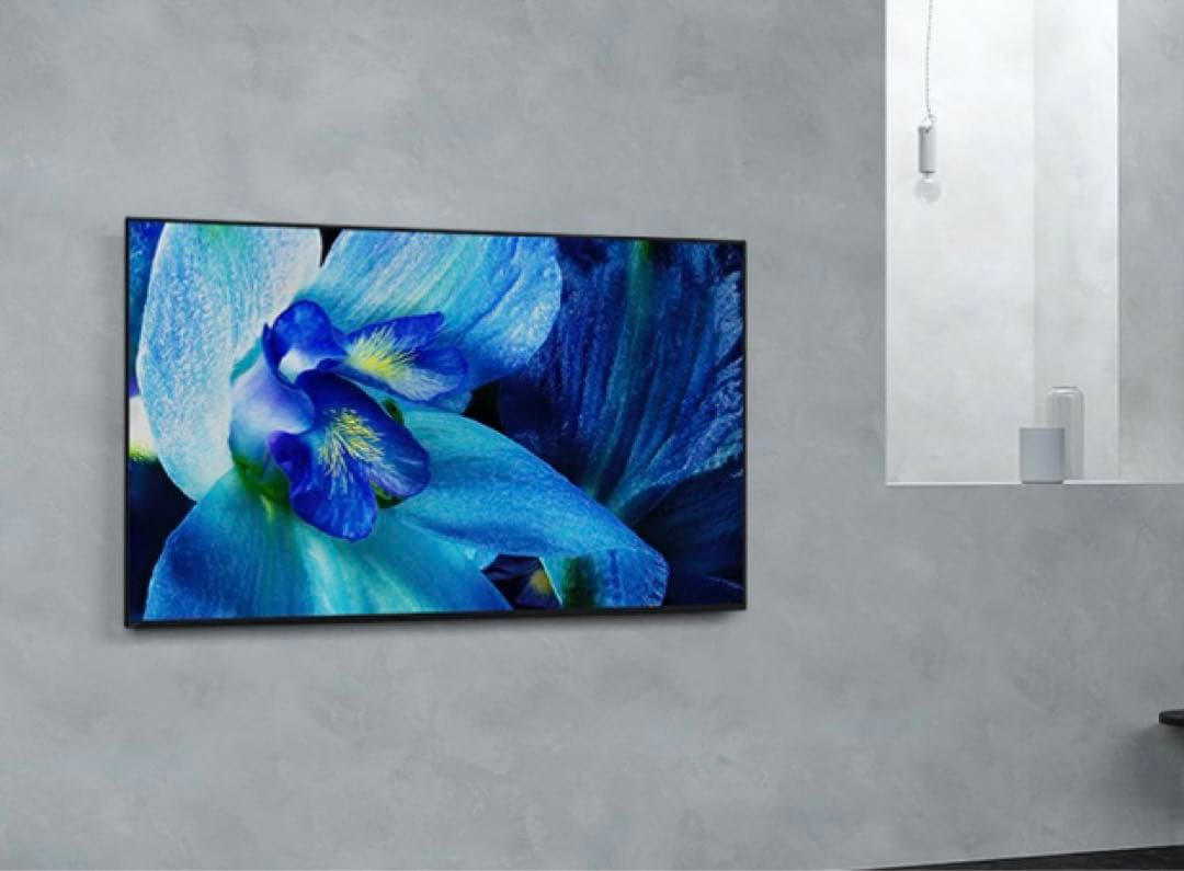 (3/10まで) 55インチ　SONY BRAVIA 有機ELテレビ　4K