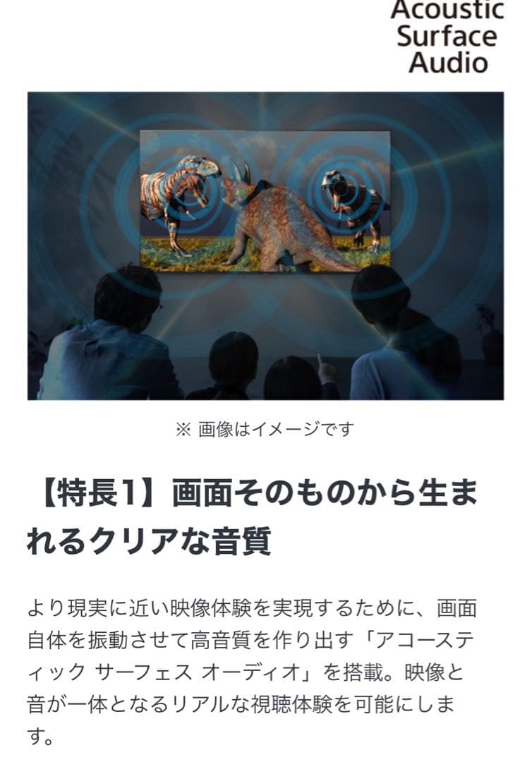 (3/10まで) 55インチ　SONY BRAVIA 有機ELテレビ　4K