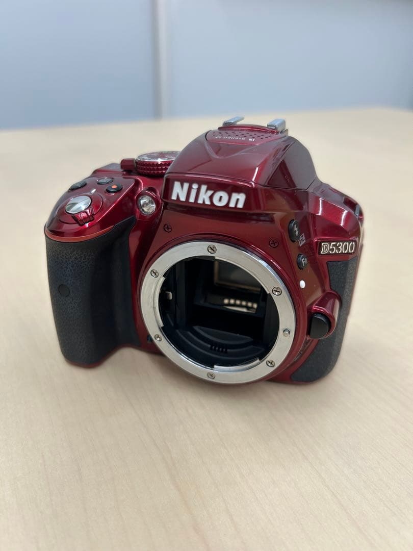 【ジャンク品】Nikonデジタル一眼レフカメラ
