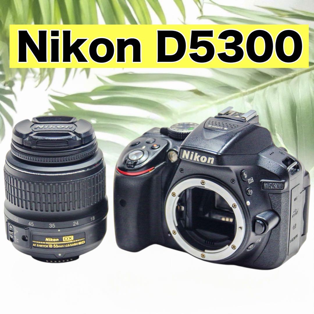 Nikon D5300 18-55mm 一眼レフ スマホ転送 Wi-Fi搭載