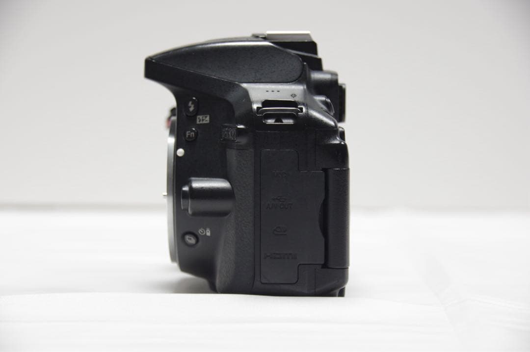 Nikon D5300 18-55mm 一眼レフ スマホ転送 Wi-Fi搭載