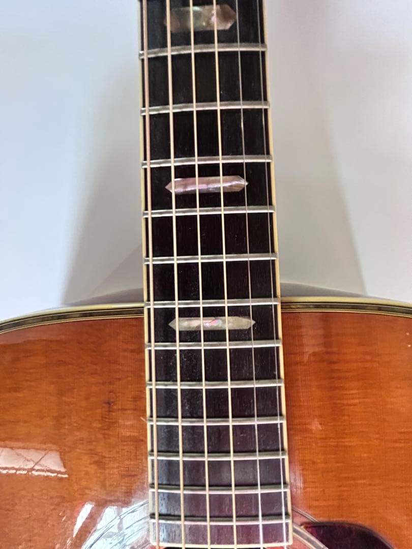 Morris TF-50アコースティックギター