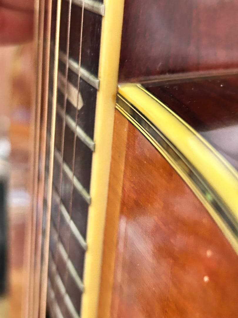 Morris TF-50アコースティックギター