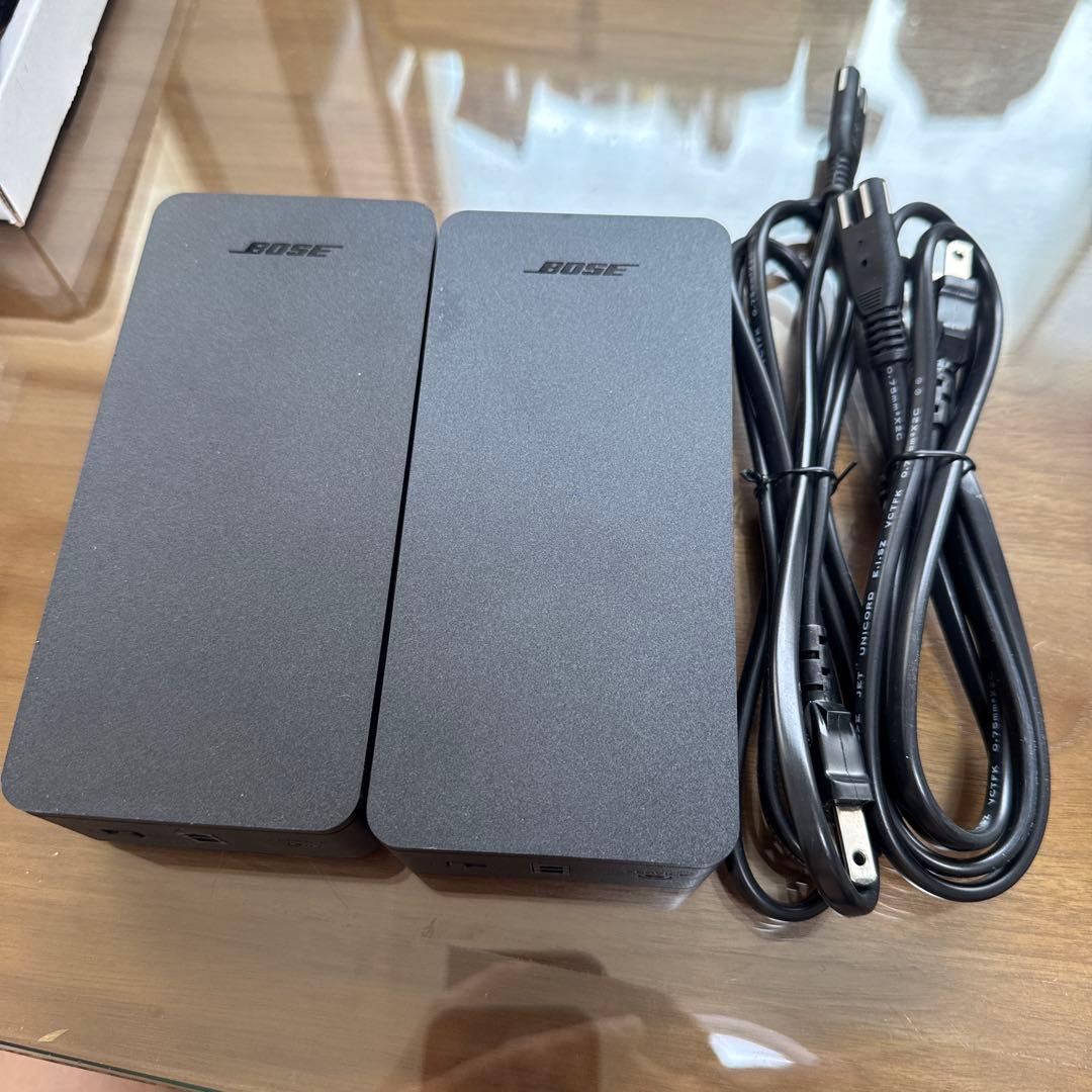 【未使用】BOSEボーズ VIRTUALLY INVISIBLE300