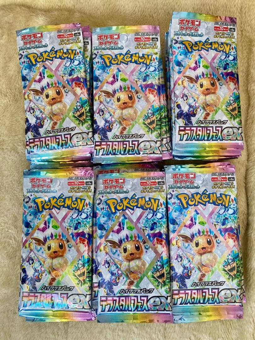 テラスタルフェス　バラ65パック