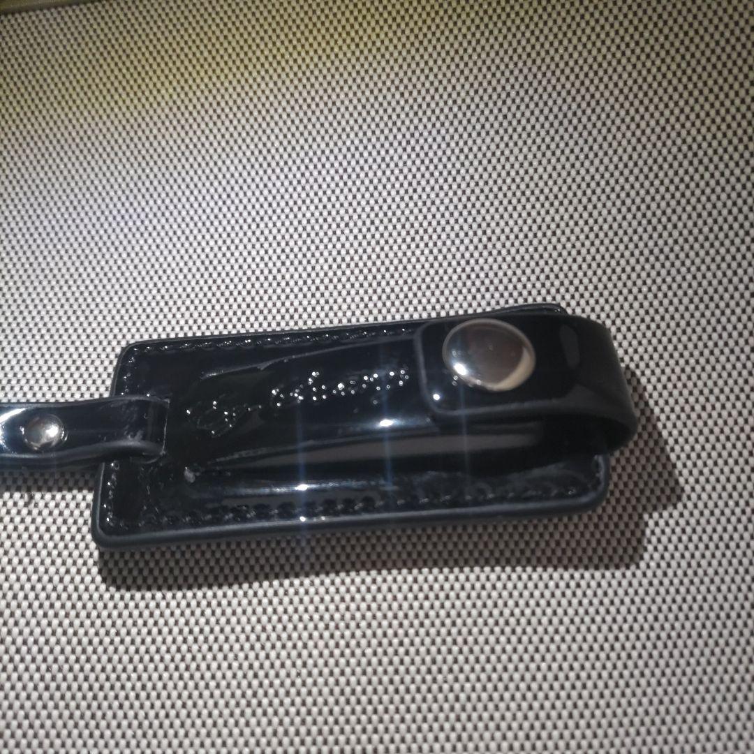 【超希少】 Swany（スワニー）キャリーバッグ WB-0930