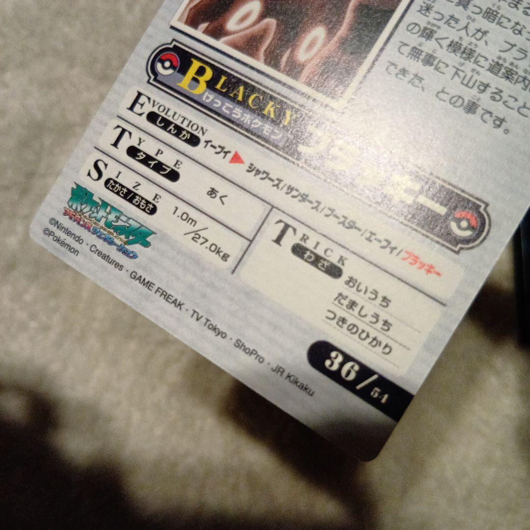 WEEKLY NEWS No.36：「闇夜を導くブラッキーの光」