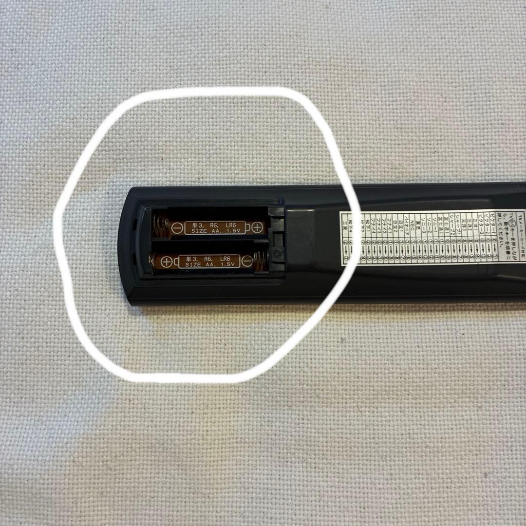 BOSE PLS-1610 リモコン　カタログ