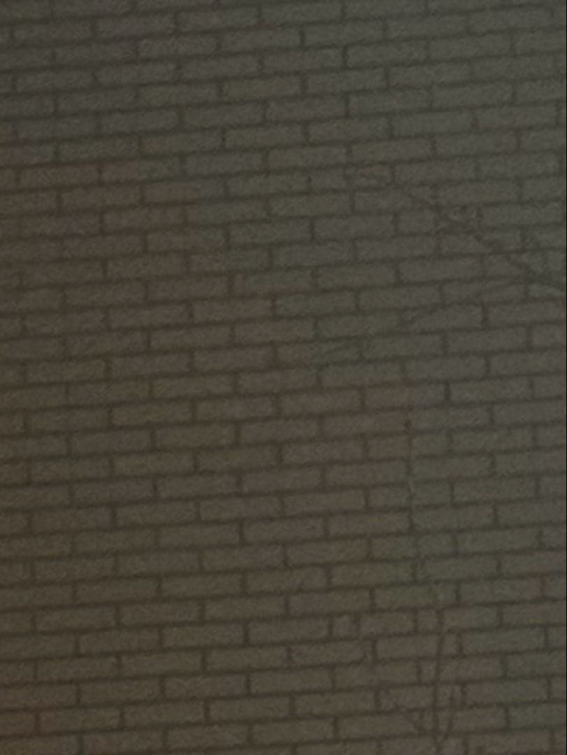 108フラワーズ 英語版 REVISED 1 box 新品未開封シュリンク付き