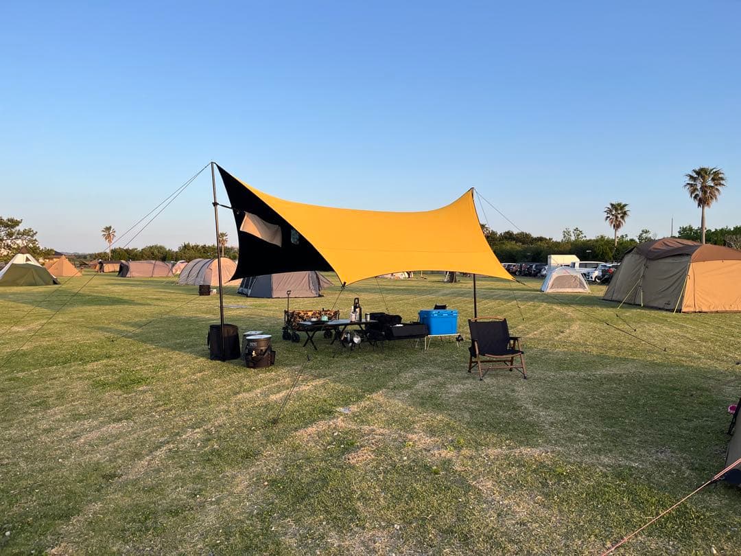 幕男　きいろ　2023年製