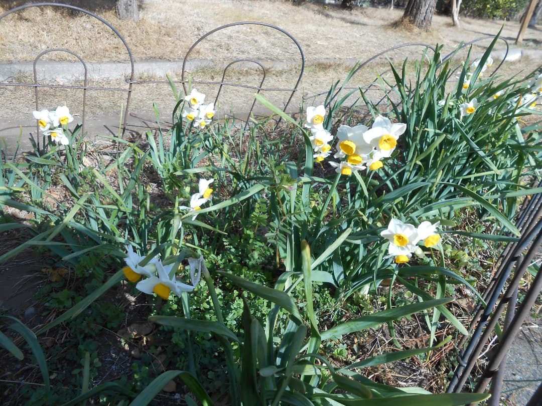 実写美⭕️美品【動作確認済み】Nikon COOLPIX S3300 ゴールド