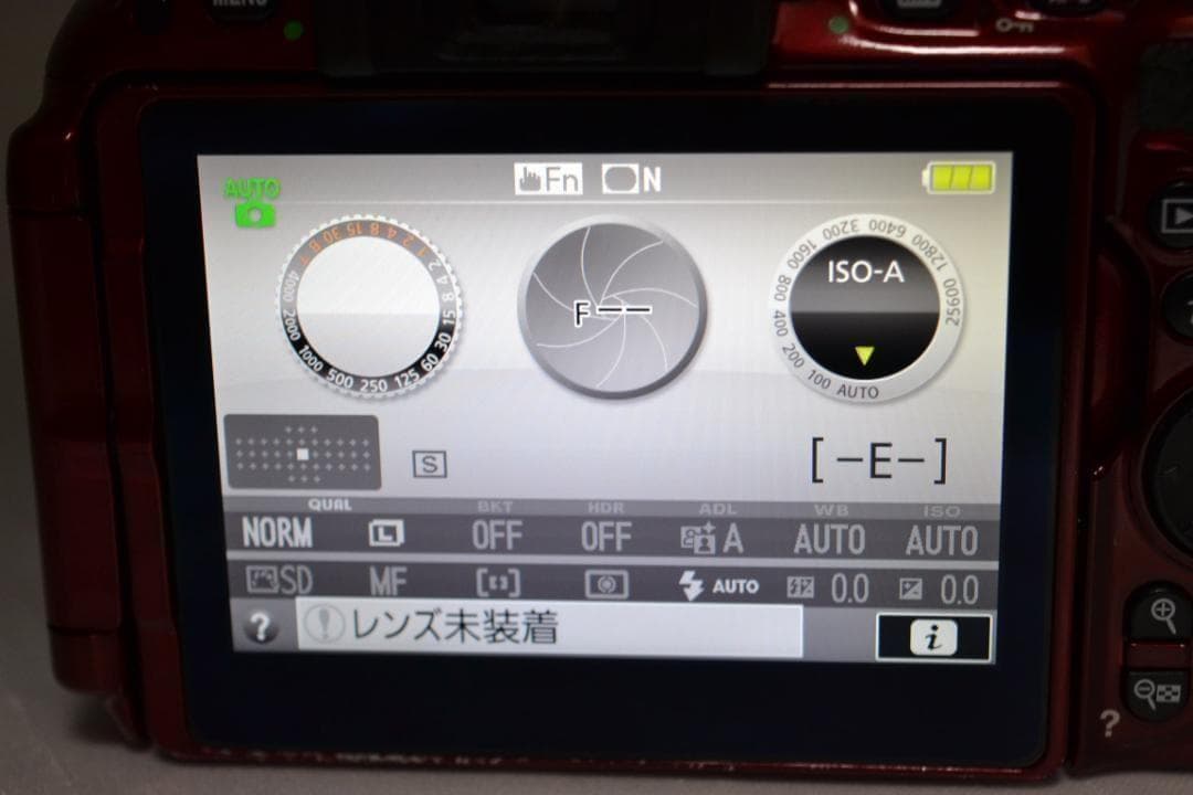 ニコン　Nikon D5500 希少RED ダブルズーム カメラバッグ付