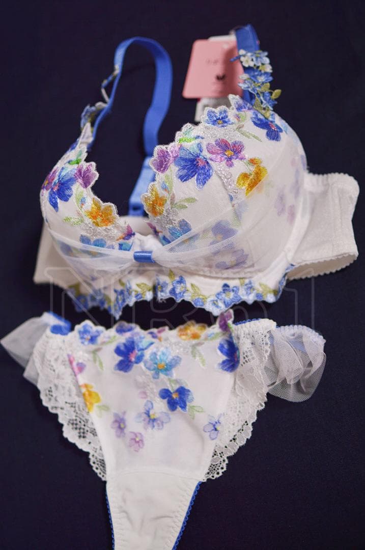 D70Mセット　ルジェ　リボンブラ　ホワイト×ブルー