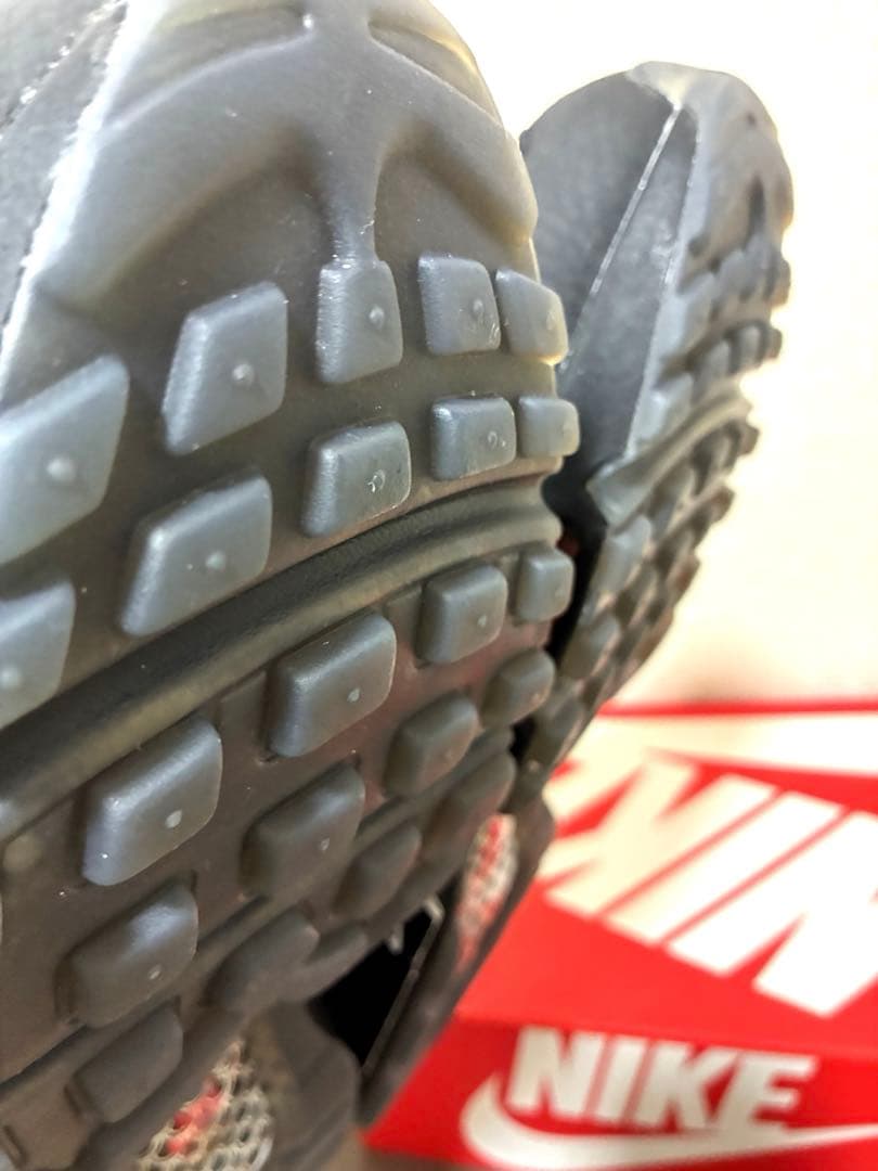 【激レア新品】AIRMAX95鯉 \"Pure Platinum\"koi28㎝