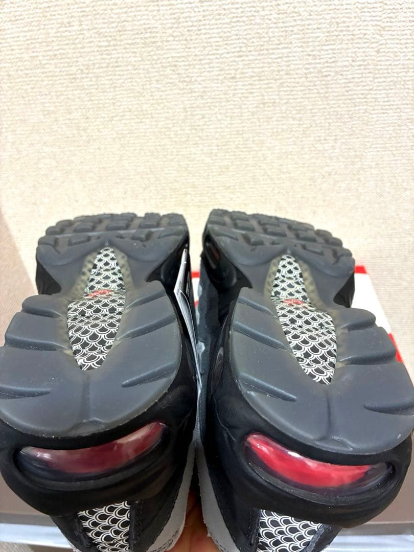 【激レア新品】AIRMAX95鯉 \"Pure Platinum\"koi28㎝