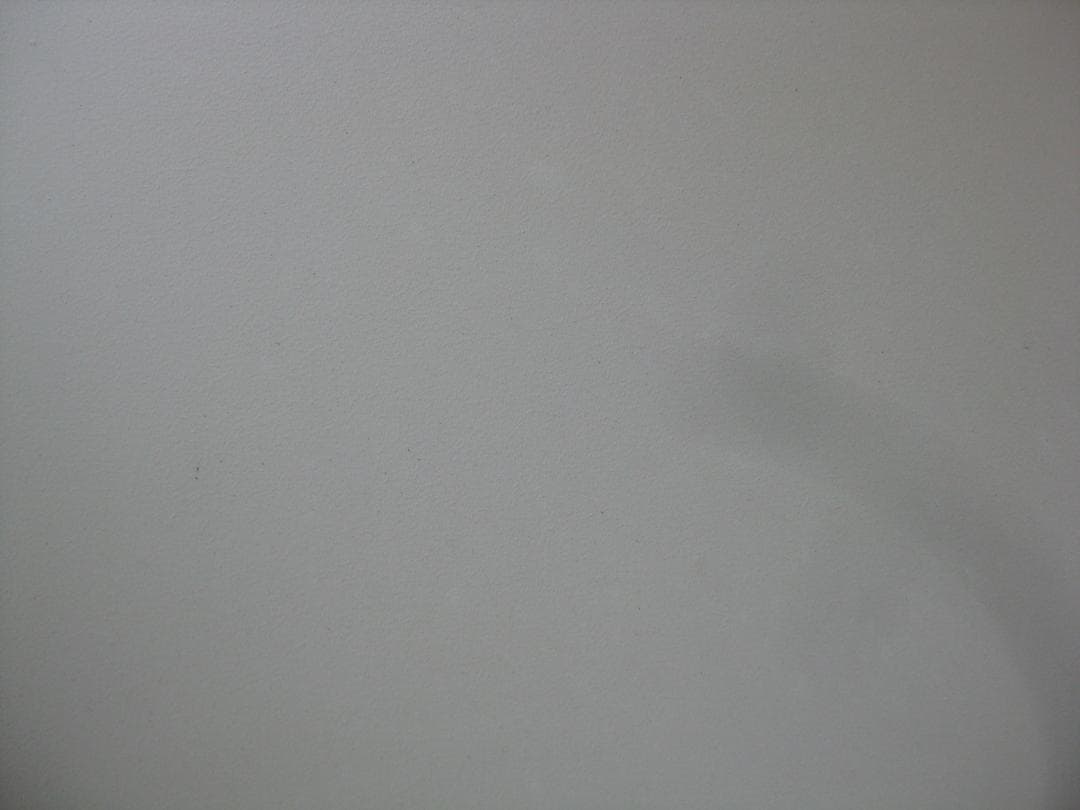 【スマホ転送OK】キャノン Canon IXY DIGITAL 20 IS