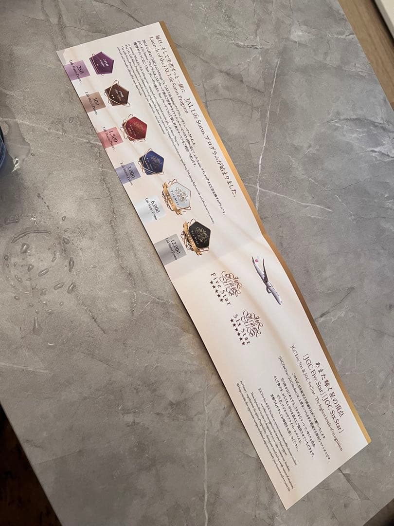 JAL 最高スティタス 黒亀タグJGCファイブスターネームプレート2個セット