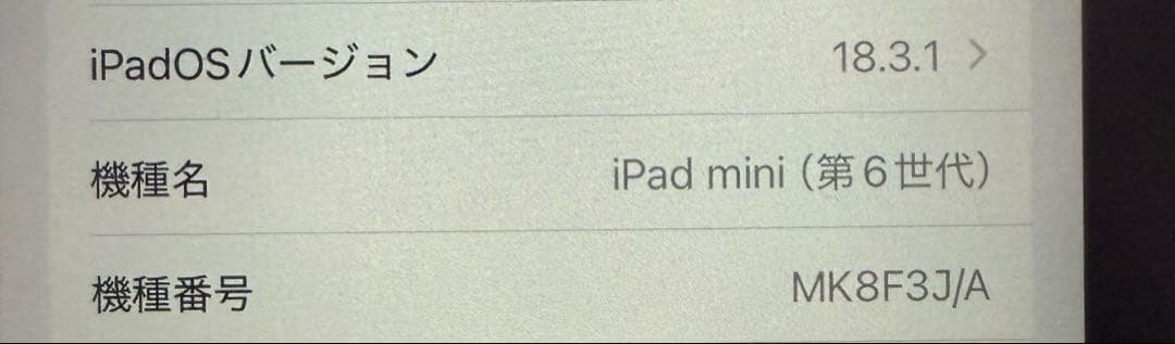 iPad mini 6 256GB Cellular Apple Pencil付