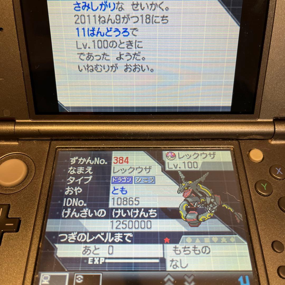 p*n様 ポケモン DS/3DS ゲームソフト