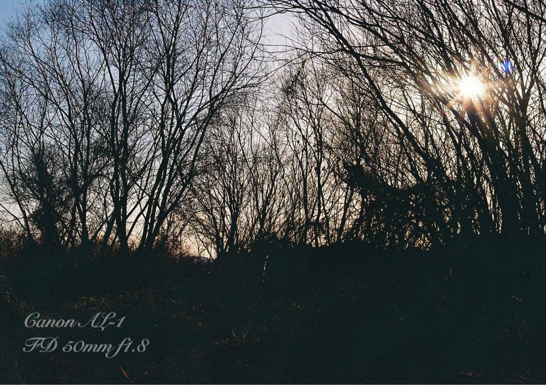 ★canon al-1★fd 50mm f1.8★完動品＊美品＊初期保証付き