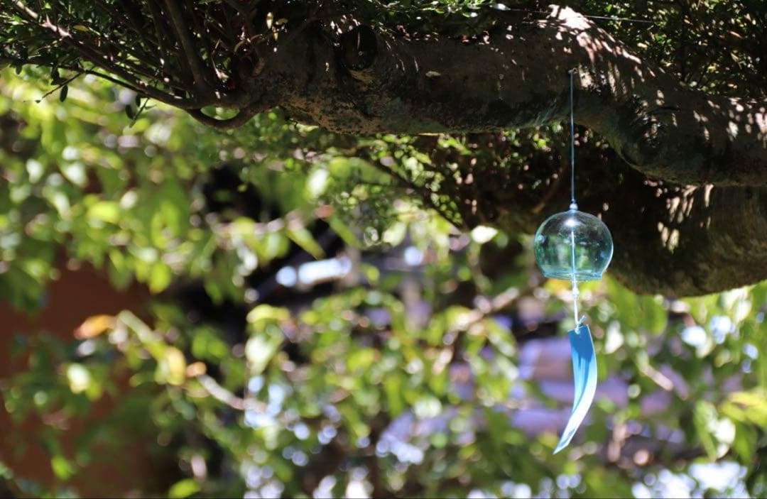 EOS Kiss x9i + レンズ3本セット