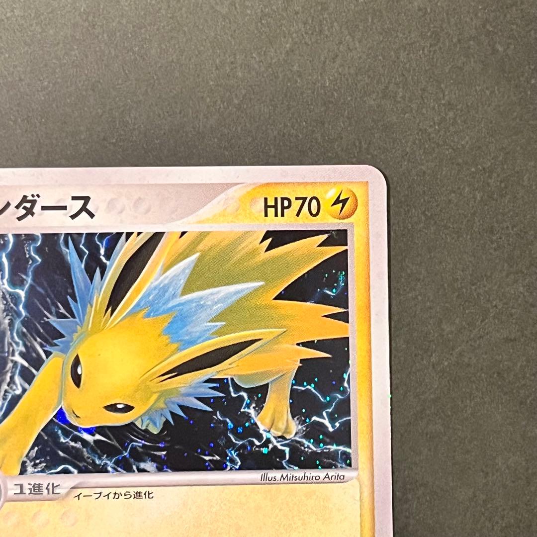 【 Satsuki.O様 】2枚セット グレイシア サンダース