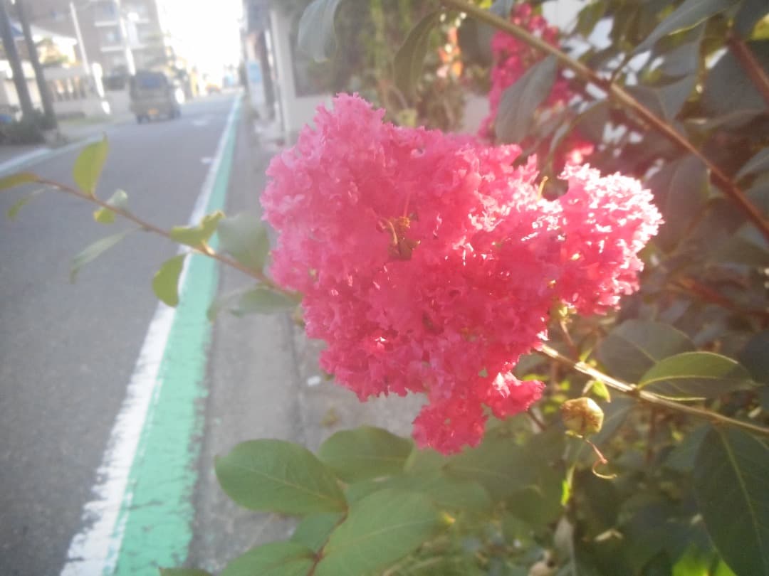 実写良⭕️【動作確認済】Nikon COOLPIX S3600 ニコン