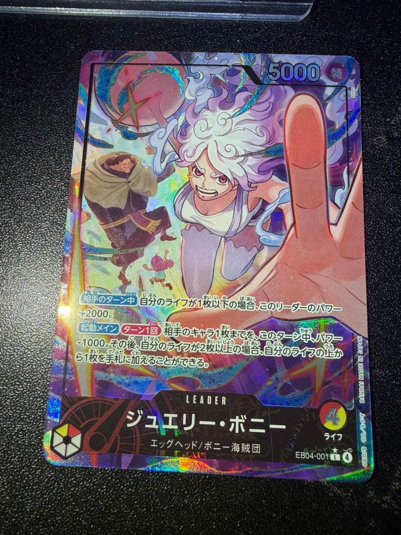 ボニー　リーダーパラレル