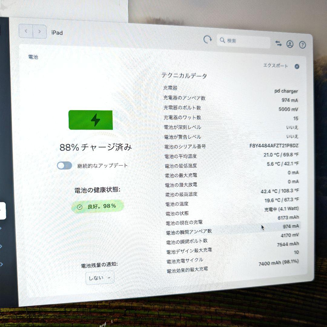 Apple iPad 第10世代 256GB WiFiモデル ブルー 美品 保証