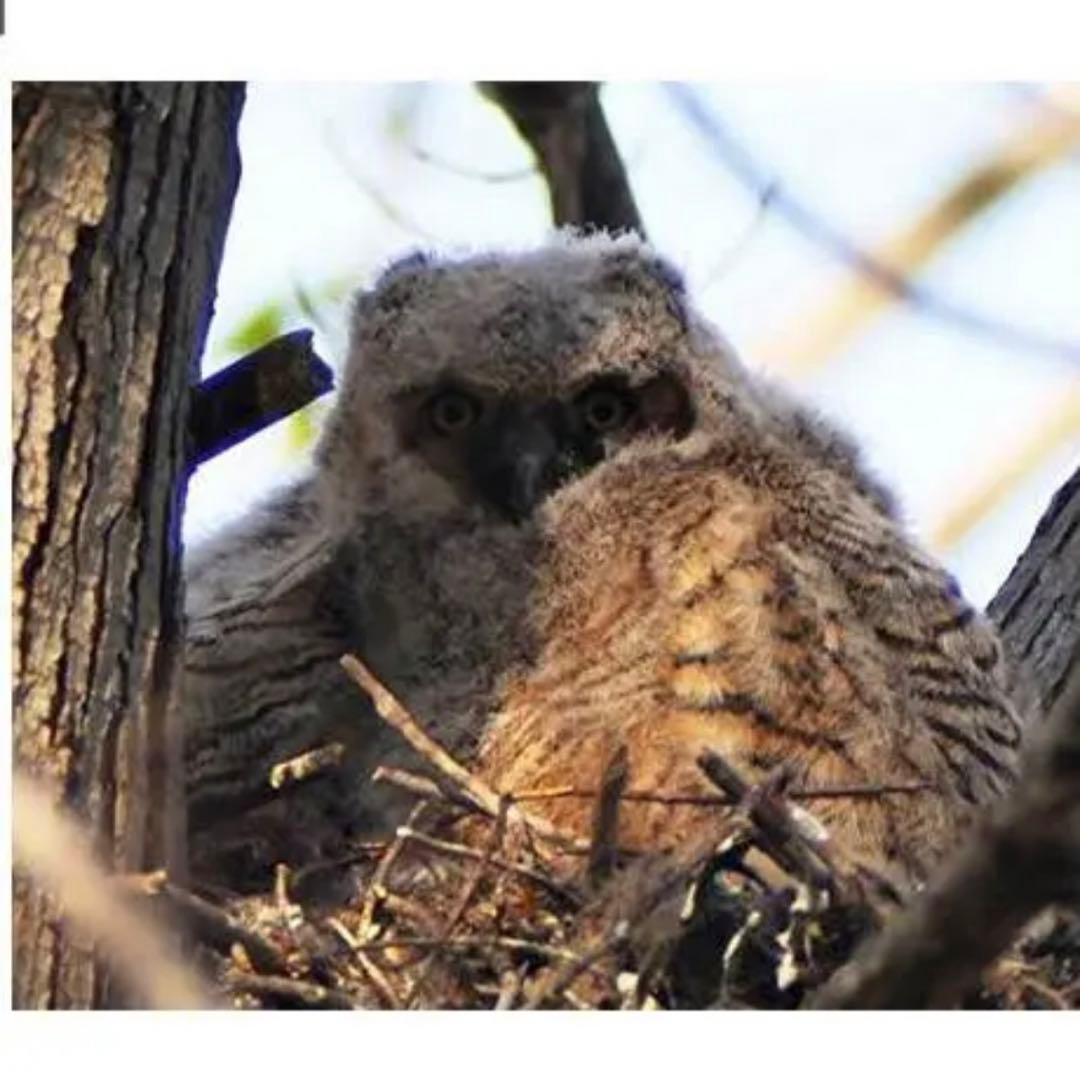 初心者でも安心サポート付き！NikonZミラーレスカメラをお持ちの方におすすめ！
