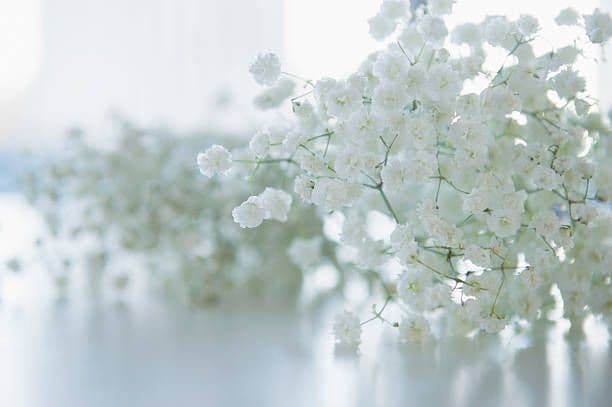 チロル様 紫陽花ピアス&リング、白のお花のネックレス、ブレス、フープピアス G