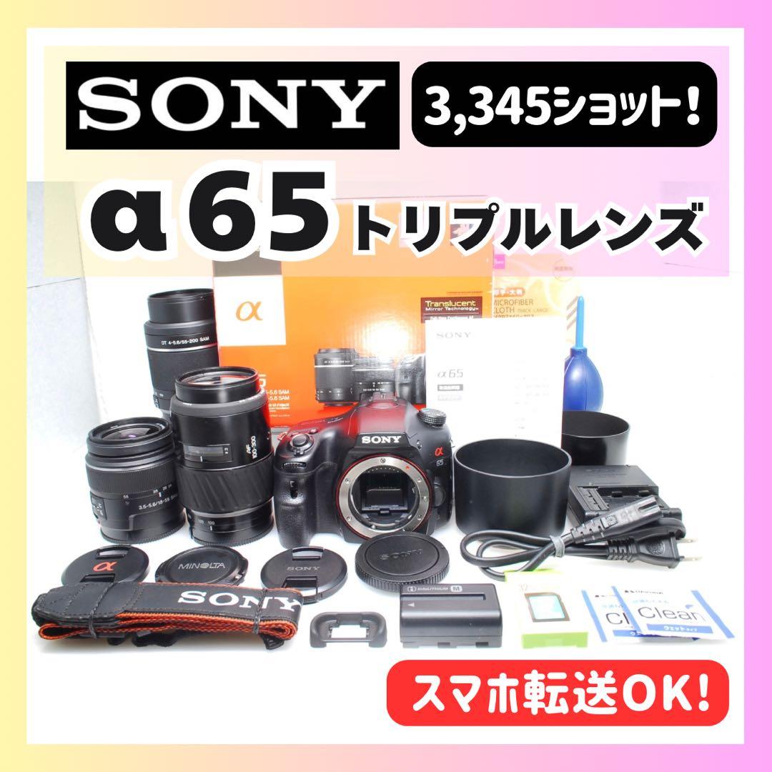✨SONY α65✨トリプルレンズ✨フル装備✨入門モデル✨超高画質✨超望遠✨美品