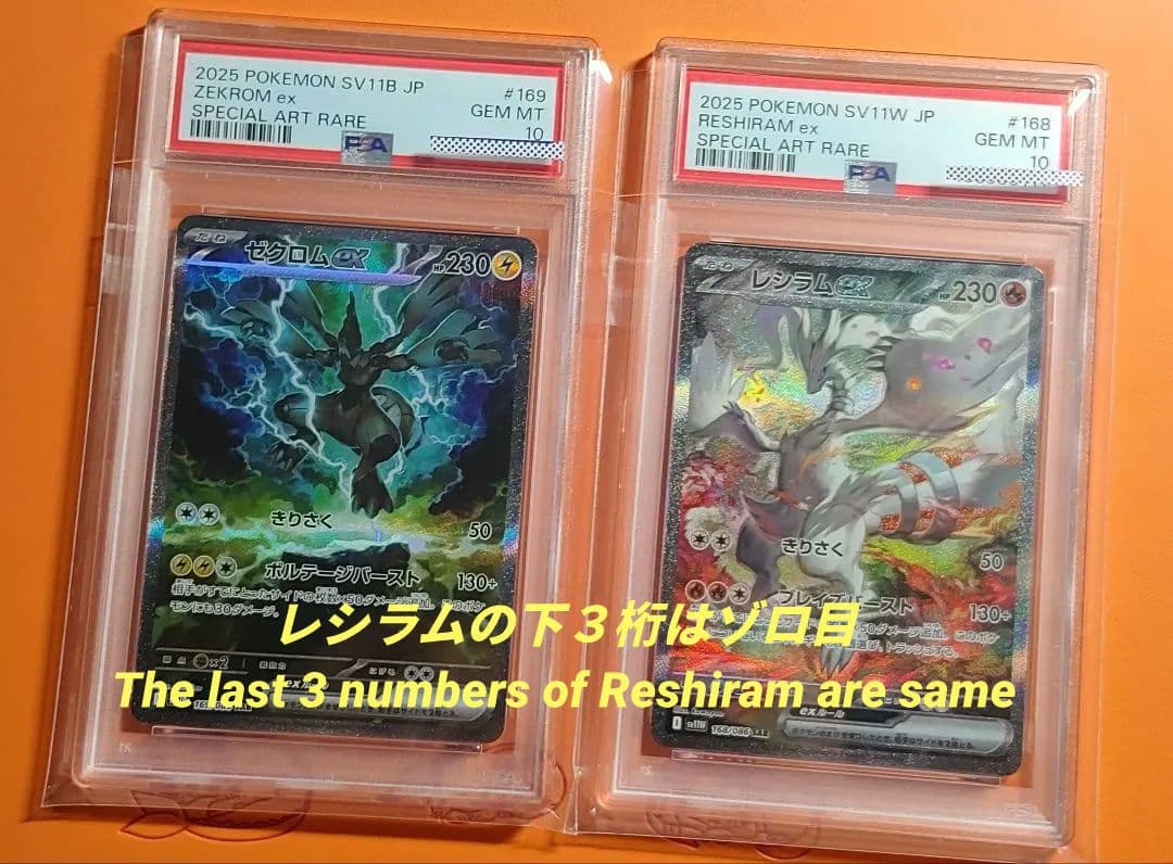 PSA10 レシラム ゼクロム SAR 2連番 zekrom reshiram