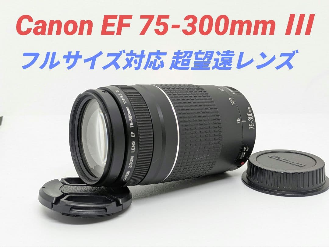1月15日限定販売✨【超望遠レンズ】Canon EF 75-300mm Ⅲ