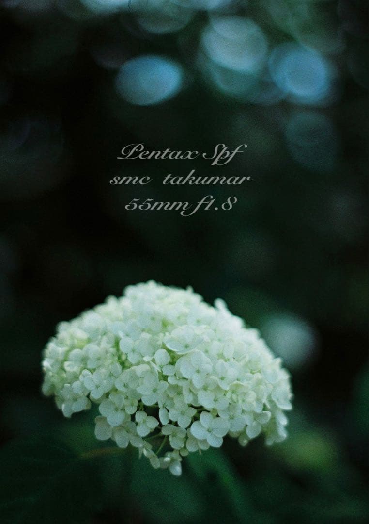 pentax spf フルセット★完動品＊美品＊初期保証付★作例多数！