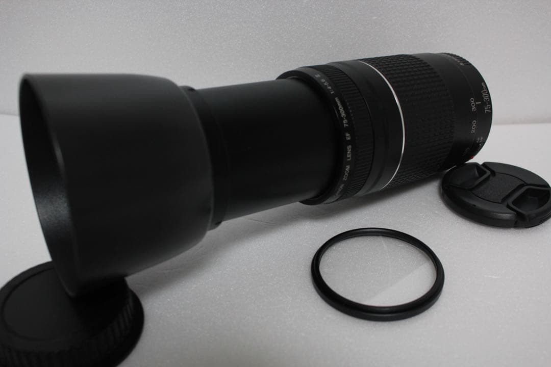 スポーツ観戦☆キャノン☆canon EF75-300㎜F4-5.6 III