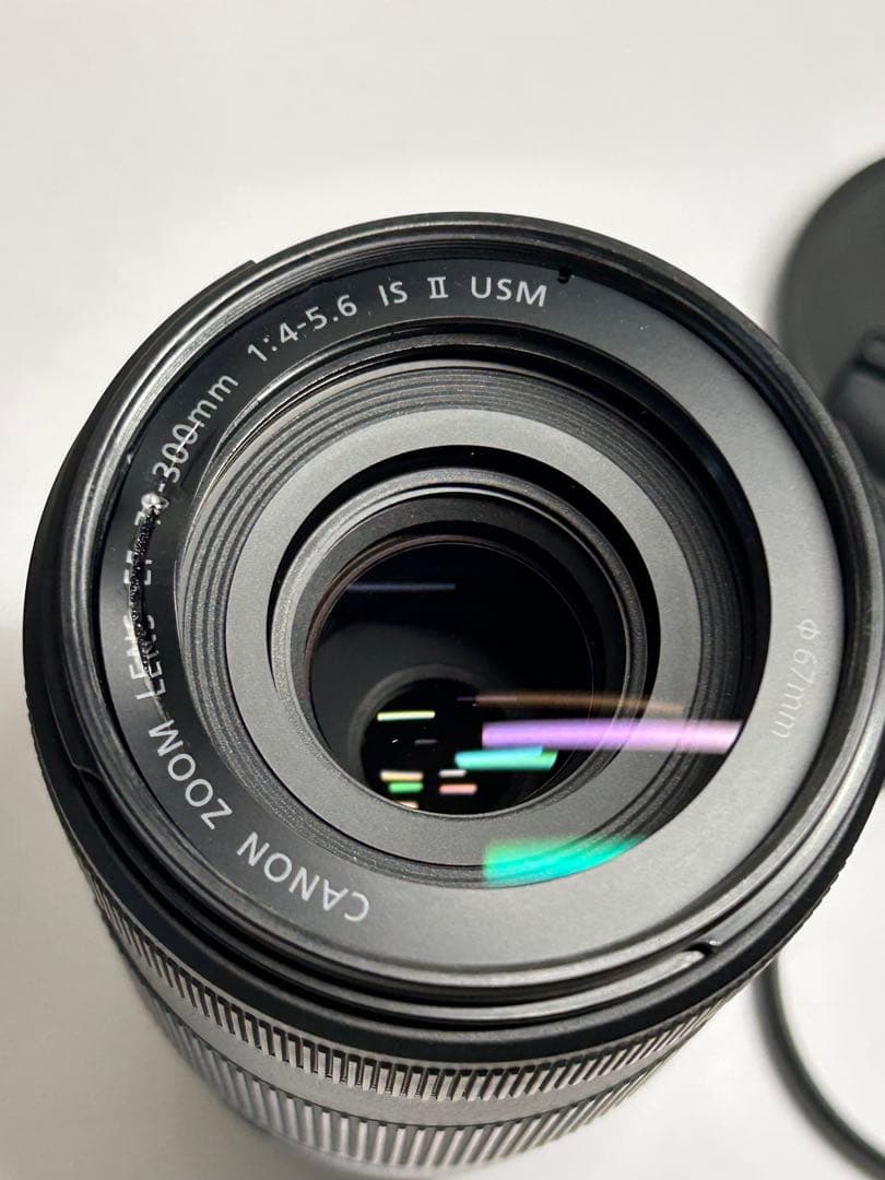 Canon キャノン EF70-300mm F4-5.6 IS II USM
