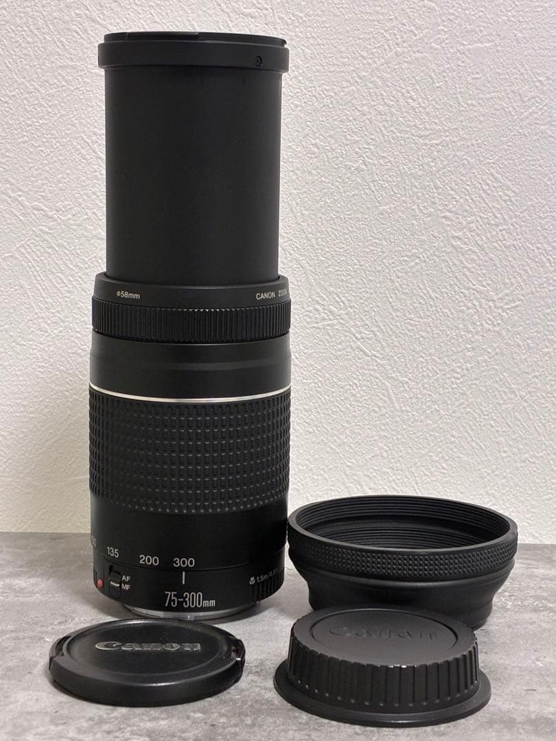 ⭐️美品⭐️ Canon EF 75-300mm F4-5.6 III フード付き