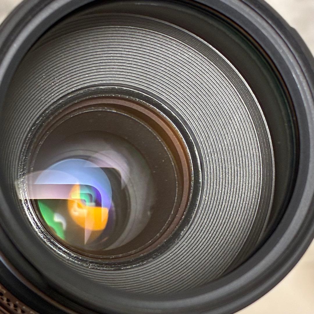 ⭐️美品⭐️ Canon EF 75-300mm F4-5.6 III フード付き