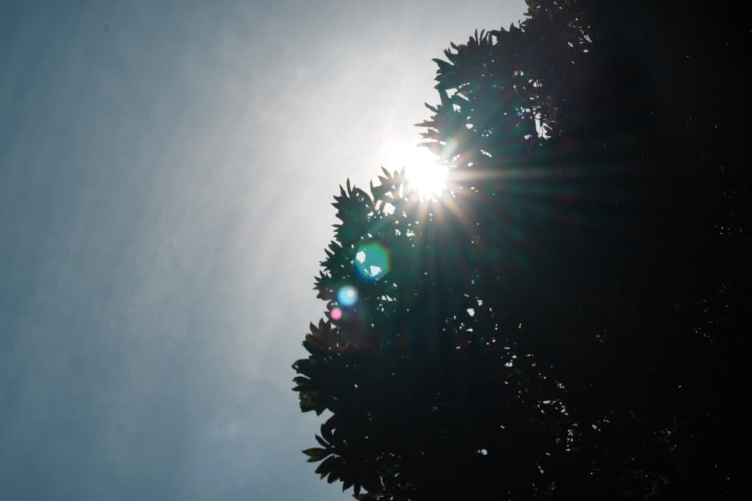 【美品】動作◎ ニコン　New Nikkor 50mm F1.4 前 050