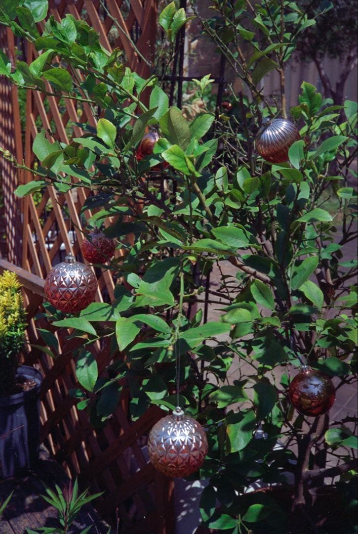 OLYMPUS 35RC 整備完動品、テスト撮影済み　371001