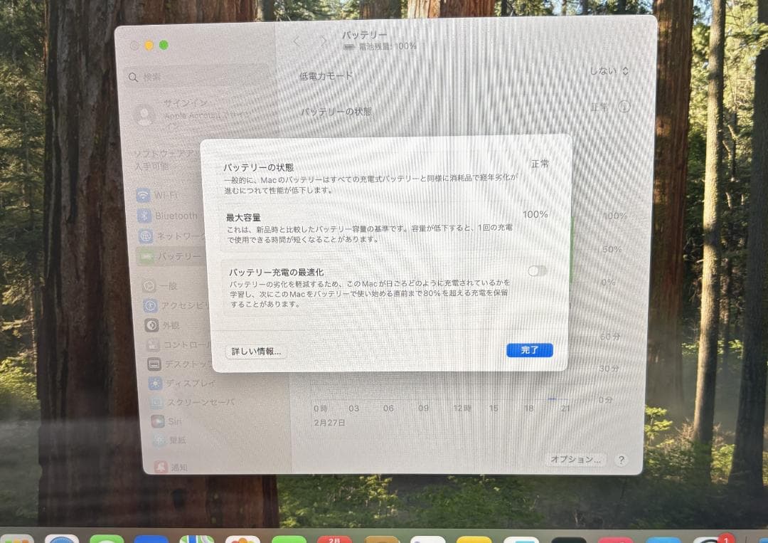【美品/最大容量100%】M1 MacBookAir 2020 1TB/8GB