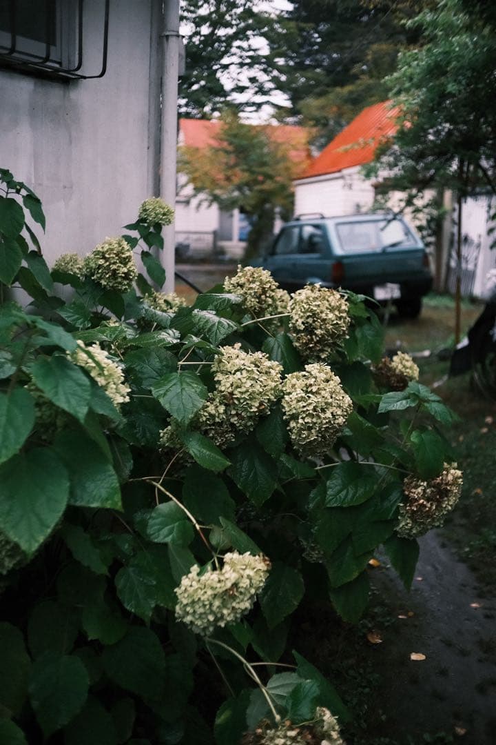 FUJIFILM用 SG-image AF 25mm F1.8 単焦点レンズ