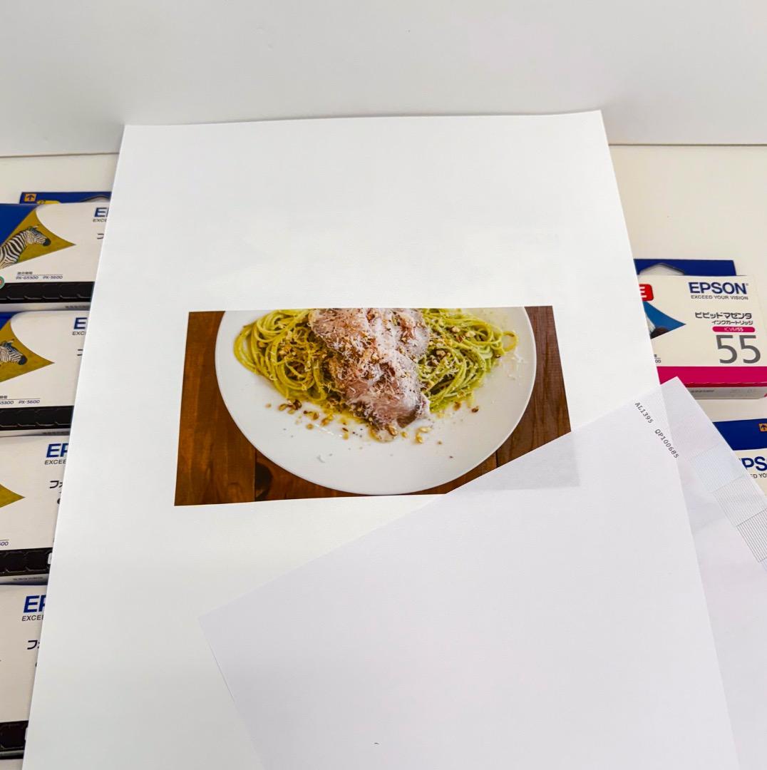 EPSON PX-5600 インクジェットプリンター